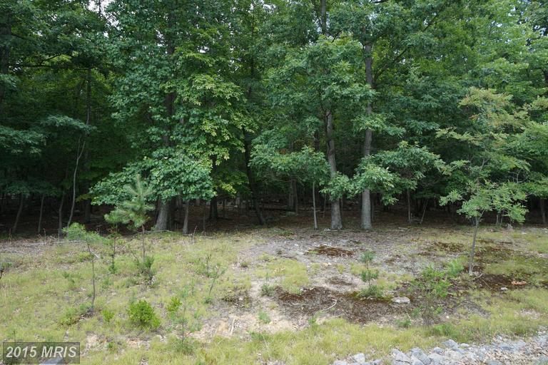 PARKSIDE DR ROAD, Berkeley Springs, WV 25411