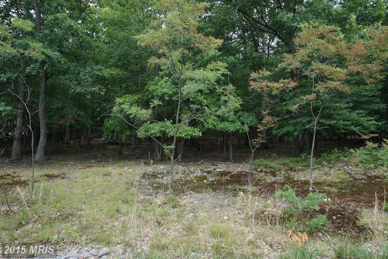 PARKSIDE DR ROAD, Berkeley Springs, WV 25411