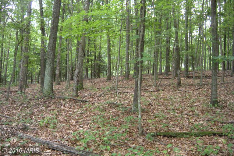 LOT 6D HOLLYBUSH LANE, Berkeley Springs, WV 25411