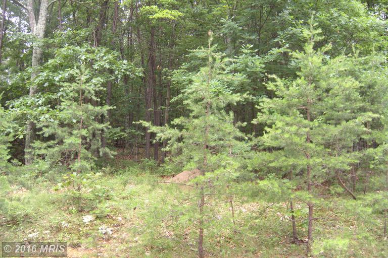LOT 6D HOLLYBUSH LANE, Berkeley Springs, WV 25411