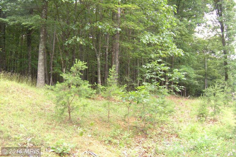 LOT 6D HOLLYBUSH LANE, Berkeley Springs, WV 25411