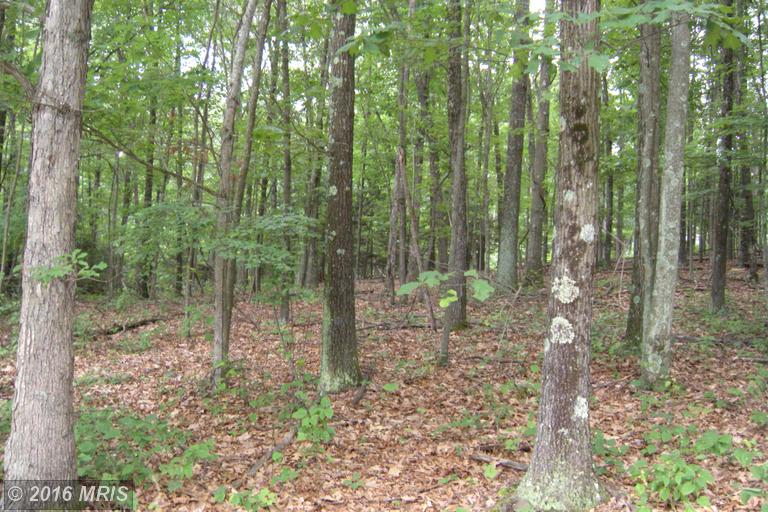 LOT 6D HOLLYBUSH LANE, Berkeley Springs, WV 25411