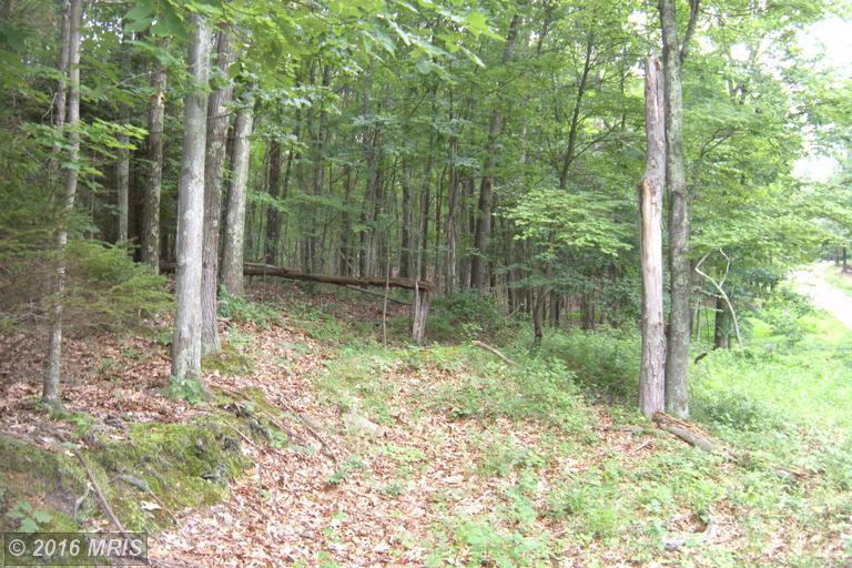LOT 6D HOLLYBUSH LANE, Berkeley Springs, WV 25411