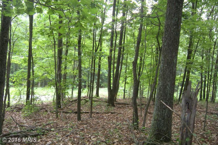 LOT 6D HOLLYBUSH LANE, Berkeley Springs, WV 25411