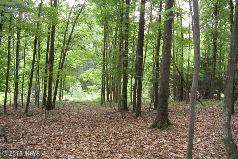 LOT 6D HOLLYBUSH LANE, Berkeley Springs, WV 25411