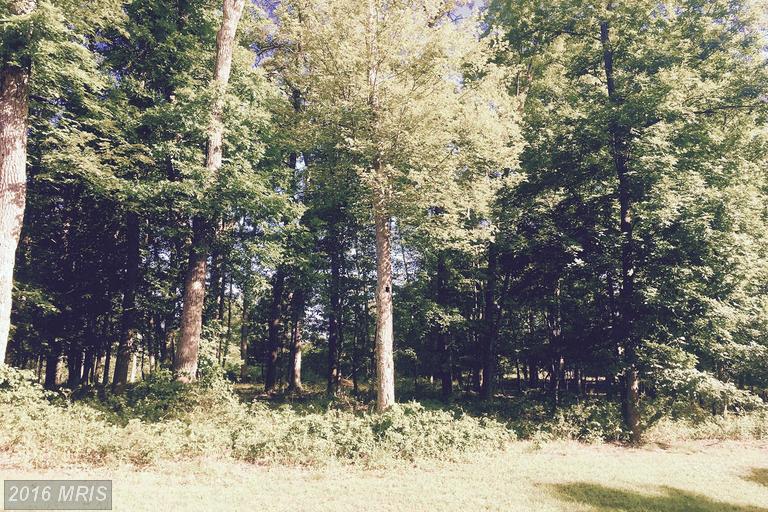 LAWYER LANE, Berkeley Springs, WV 25411