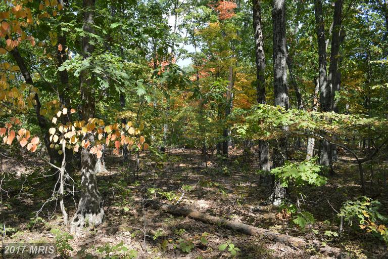 0 TABOR ROAD, Berkeley Springs, WV 25411