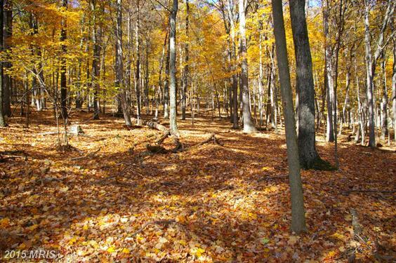 5 WOODPECKER DRIVE, Berkeley Springs, WV 25411