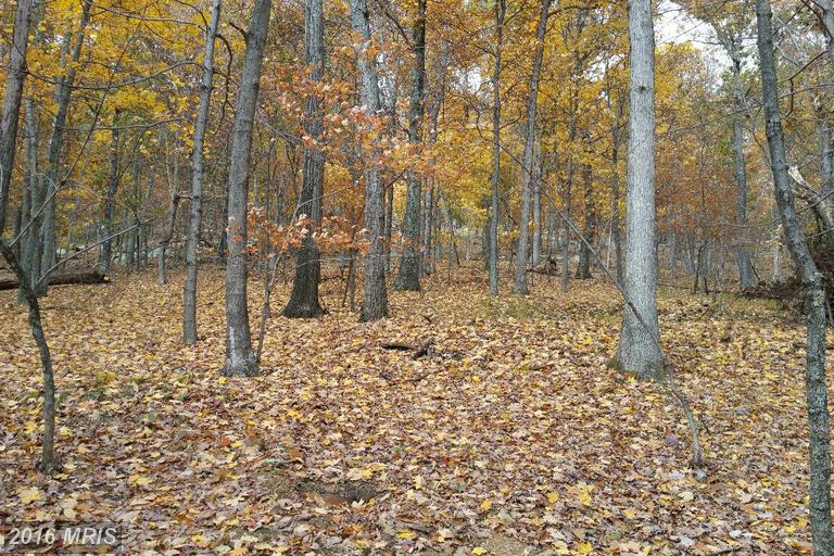 5 WOODPECKER DRIVE, Berkeley Springs, WV 25411