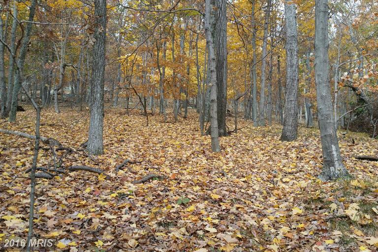 5 WOODPECKER DRIVE, Berkeley Springs, WV 25411
