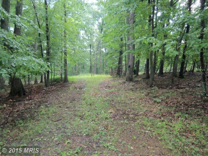 Deerwood Drive