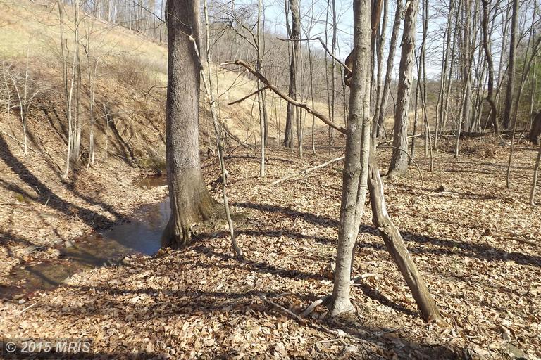 Oak Forest Lane