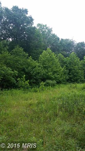 Oak Forest Lane