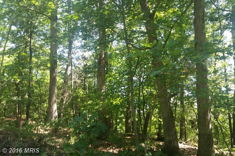Oak Forest Lane