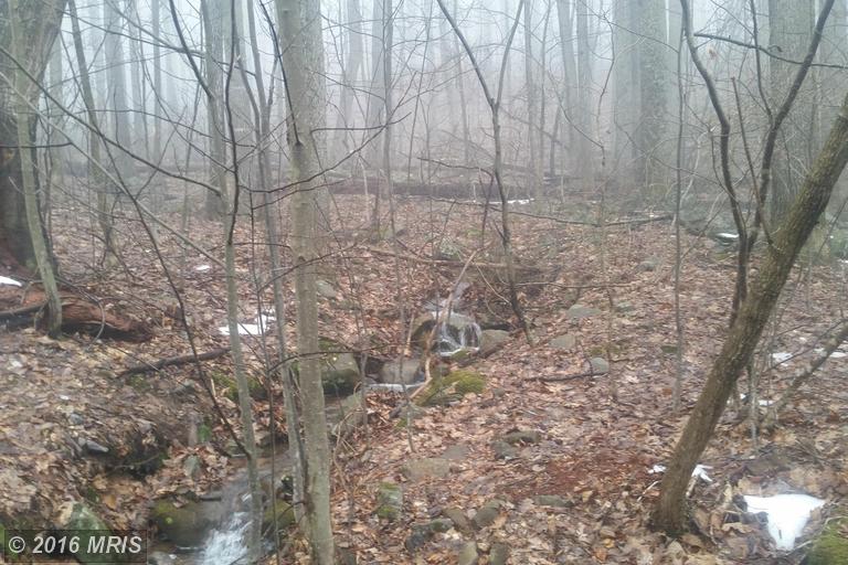Oak Forest Lane