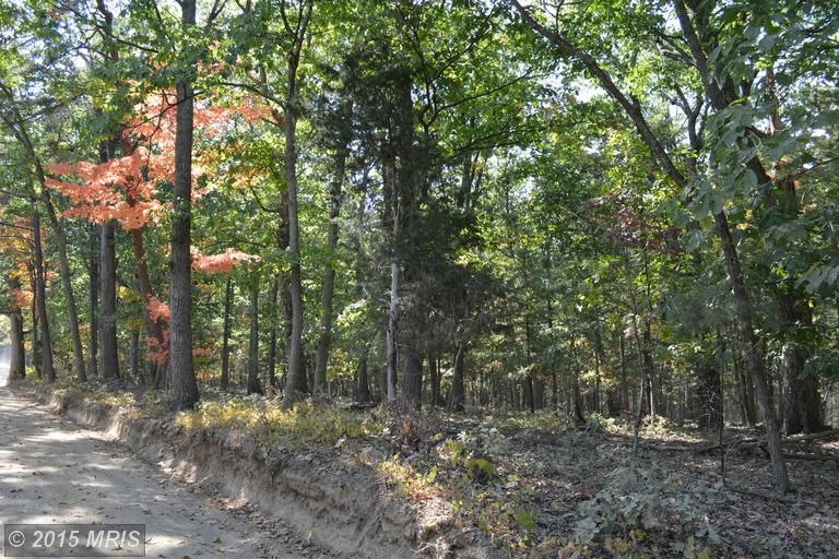 Little Creek Trail