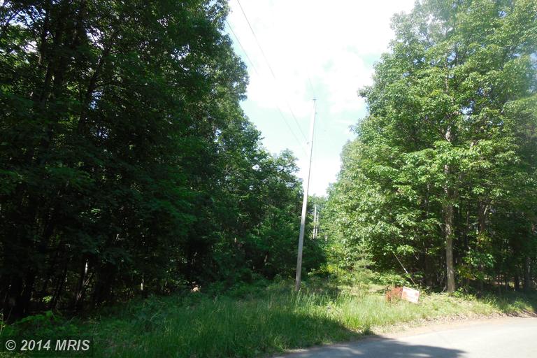 Little Creek Trail