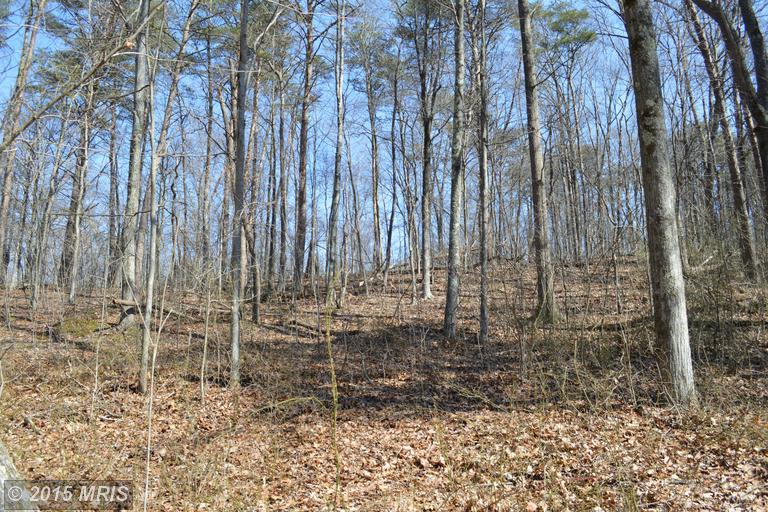 Little Creek Trail