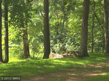 671 Plum Tree Lane