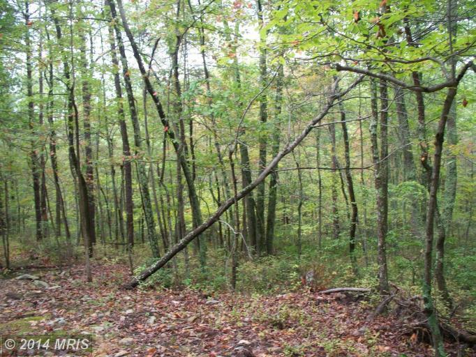 671 Plum Tree Lane