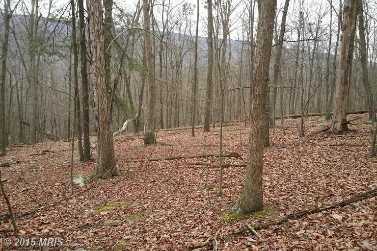 131 Bobcat Drive