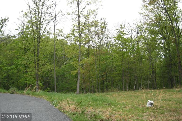 944 Mountain Run Road