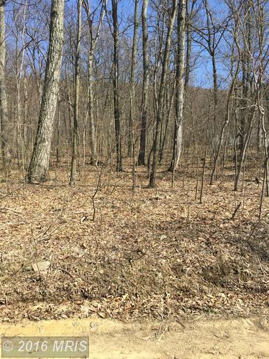 Lot 29.1 Sleepy Creek Mtn Est.