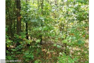 Lot 29.1 Sleepy Creek Mtn Est.