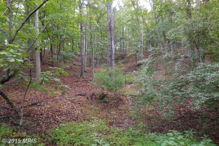 Lot 29.1 Sleepy Creek Mtn Est.