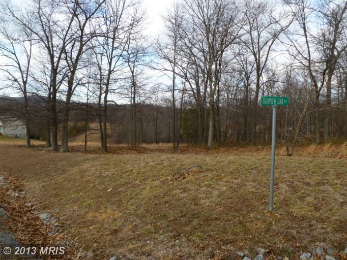 20 Lady Slipper Lane