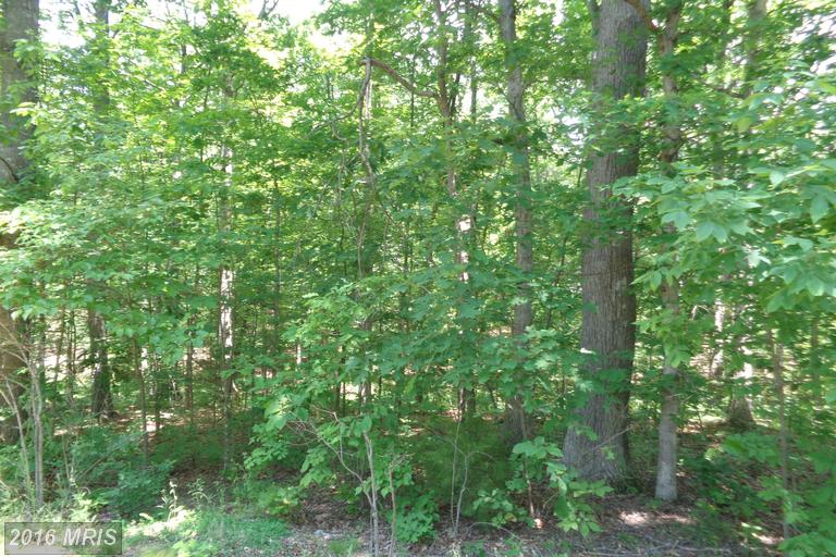 0 ASPEN DR, Bunker Hill, WV 25413