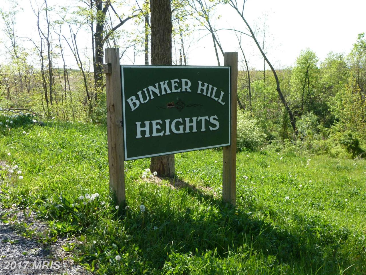 CURRENCY DR, Bunker Hill, WV 25413
