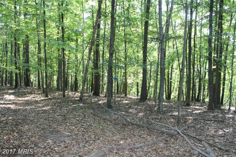 OTTER CREEK, Gerrardstown, WV 25420