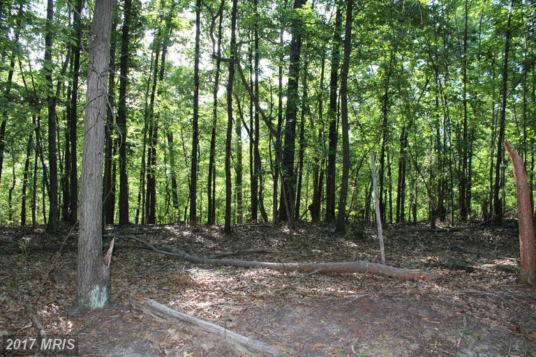 OTTER CREEK, Gerrardstown, WV 25420