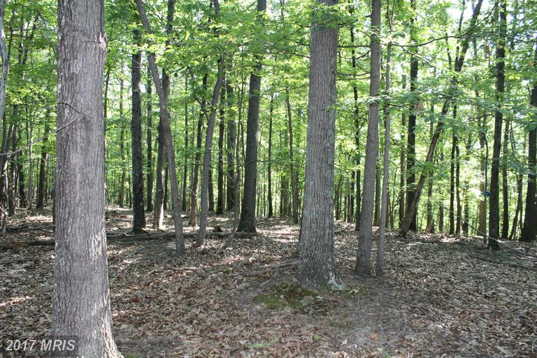 OTTER CREEK, Gerrardstown, WV 25420