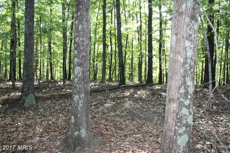 OTTER CREEK, Gerrardstown, WV 25420