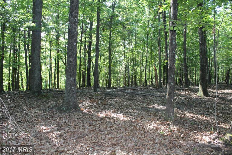 OTTER CREEK, Gerrardstown, WV 25420