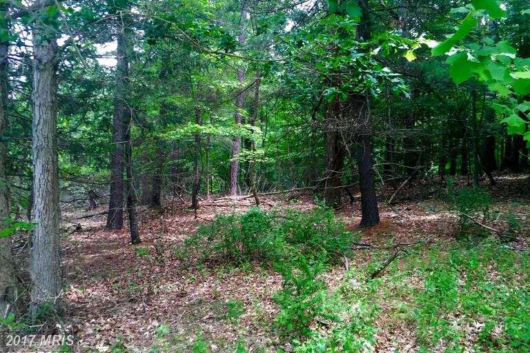 60 SHINING SILVER RIDGE, Gerrardstown, WV 25420