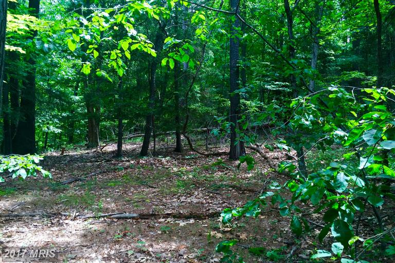 60 SHINING SILVER RIDGE, Gerrardstown, WV 25420