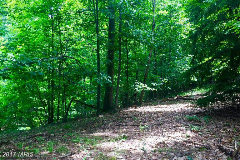 60 SHINING SILVER RIDGE, Gerrardstown, WV 25420