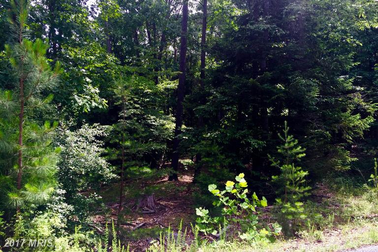 60 SHINING SILVER RIDGE, Gerrardstown, WV 25420