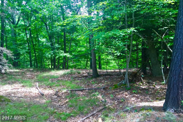 60 SHINING SILVER RIDGE, Gerrardstown, WV 25420