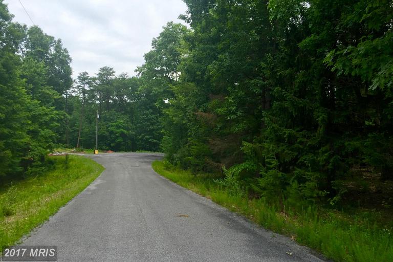 60 SHINING SILVER RIDGE, Gerrardstown, WV 25420
