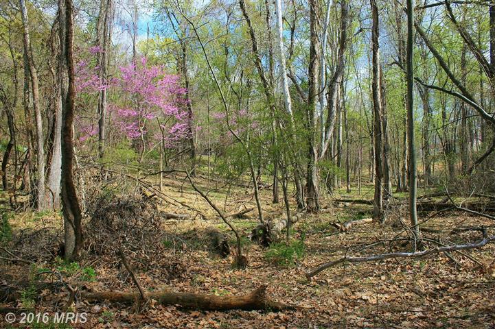 421 OTTER CREEK DRIVE, Gerrardstown, WV 25420