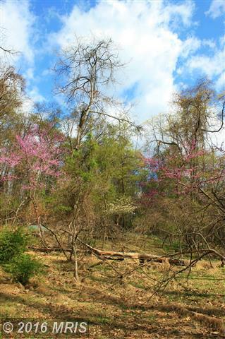 421 OTTER CREEK DRIVE, Gerrardstown, WV 25420
