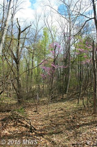 421 OTTER CREEK DRIVE, Gerrardstown, WV 25420