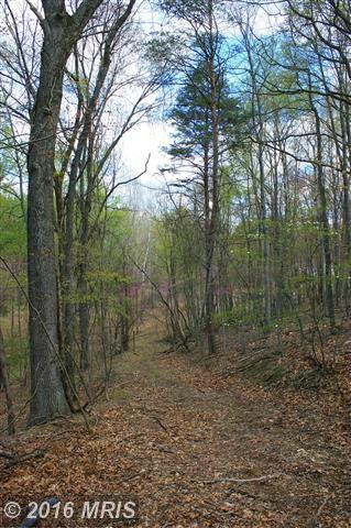 421 OTTER CREEK DRIVE, Gerrardstown, WV 25420