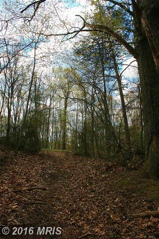421 OTTER CREEK DRIVE, Gerrardstown, WV 25420