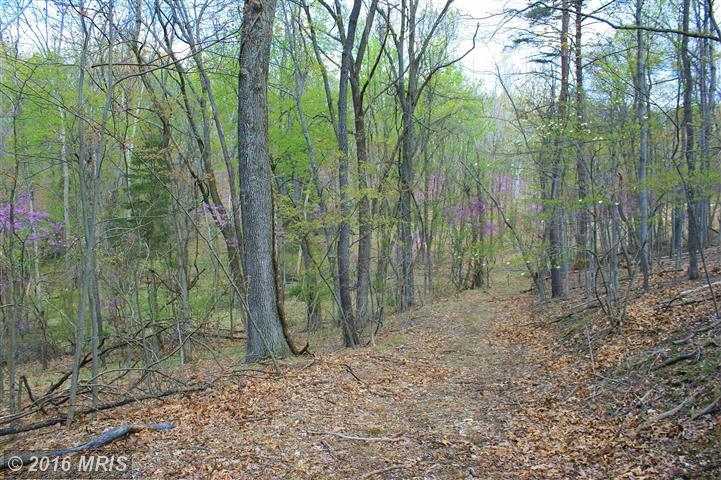 421 OTTER CREEK DRIVE, Gerrardstown, WV 25420