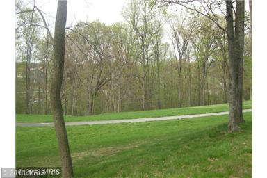 54 Tear Drop Trail